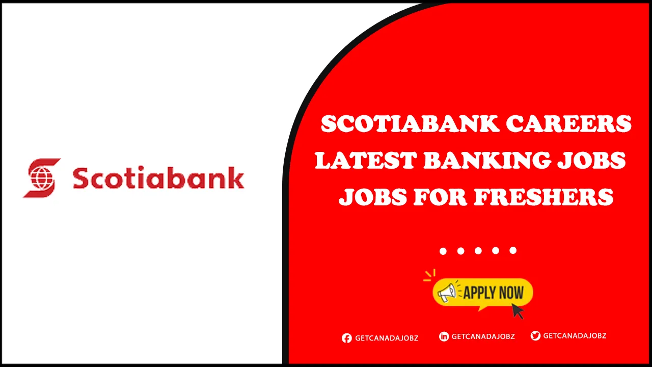 Scotiabank Careers Scotiabank Careers